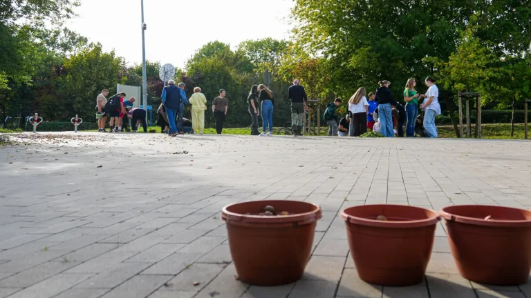 Łężyn zakwitnie na wiosnę. Mieszkańcy posadzili 4 tysiące krokusów
